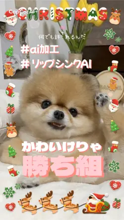 かわいけりゃ勝ち組