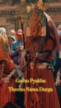Festival template