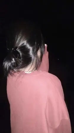 gala bunga matahari 