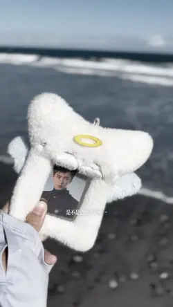 追星