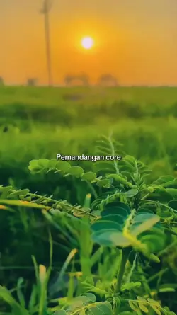 pemàndangan core