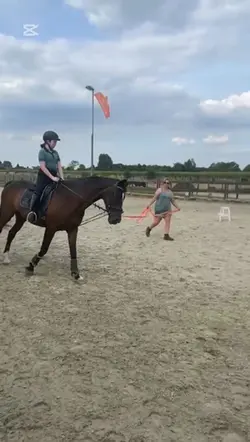 ⚠️fake horse⚠️