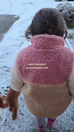 Snowy cold day