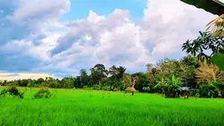 11 klip Landscape