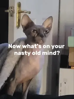Whats on my mind?