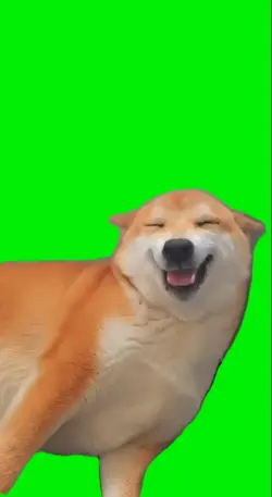 Funny dog smile