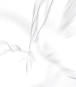 雰囲気