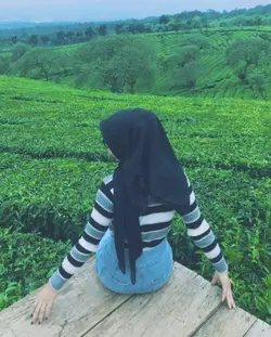 estetik