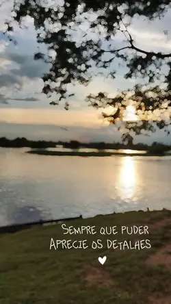 Aprecie os detalhes