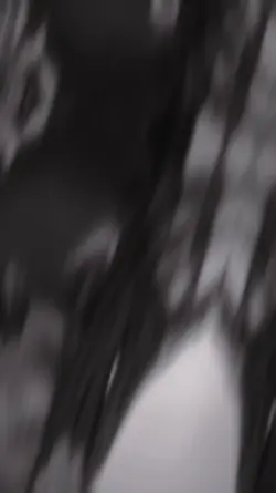 4 SCREEN VELOCITY 