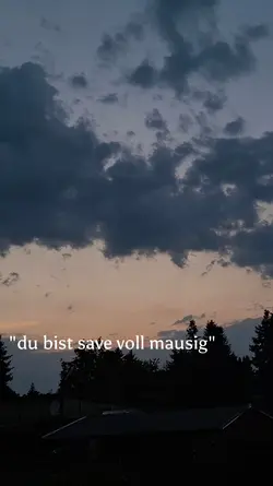 Fotzig mausig