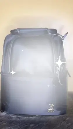 Breastfeeding bag