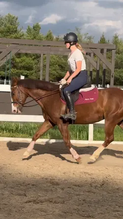 Stretchy trot!! 