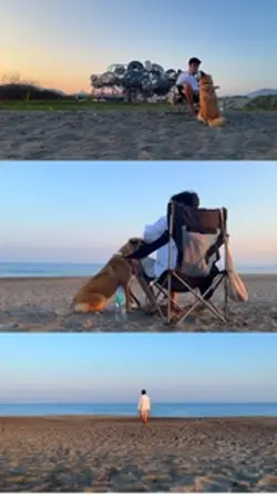 Dog Days