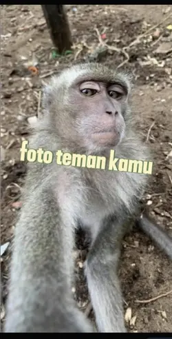 prenk teman