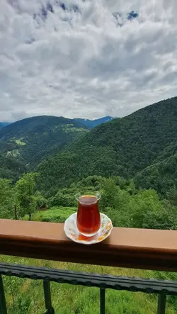 Karadeniz 