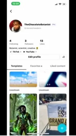 CapCut info 