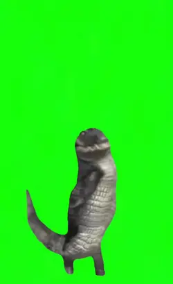 Aligator dance 