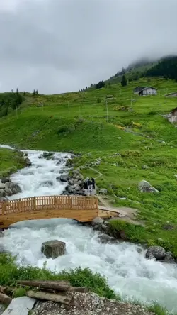 Viral Karadeniz edit