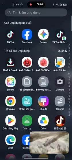 mẫu 31 ảnh