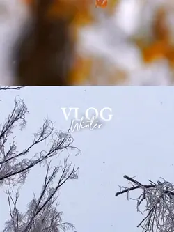 Vlog berjalan