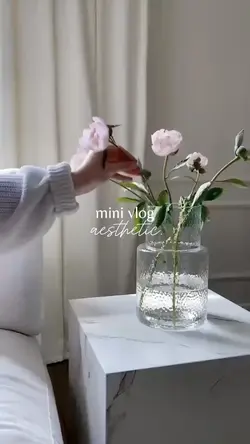 minivlog-464