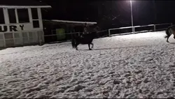 Takie z nudów
