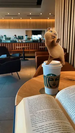 capybara dance