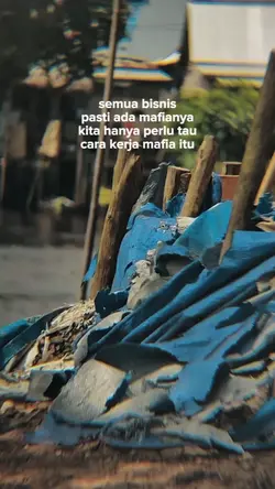 Quotes Story