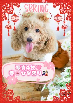 ３月　ひな祭り　写真4枚