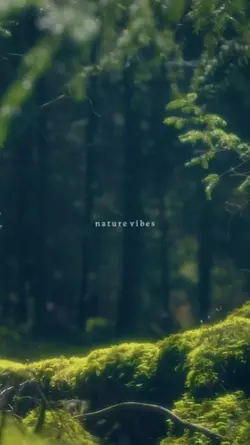 nature vibes