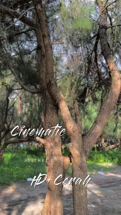 Cinematic•Kece•HD