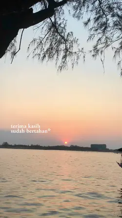terima kasih *°:⋆ₓₒ