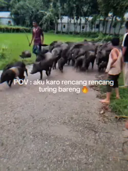POV ketika touring 