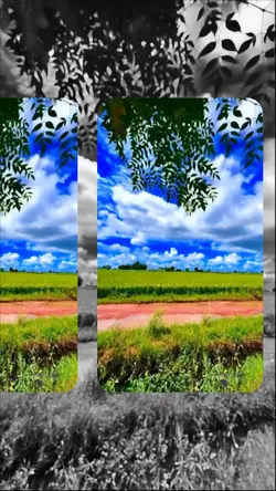 slo moshion template