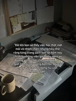 1 ảnh + caption