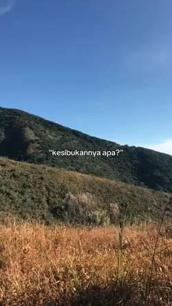 apa kesibukannya?