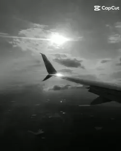 airplane 