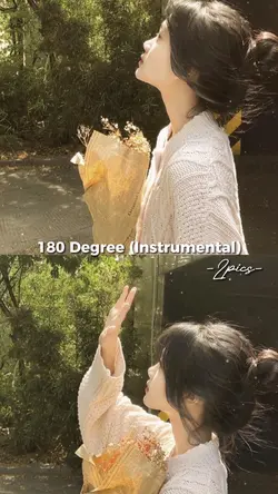 180 degree
