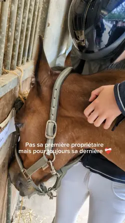 Propriétaire 