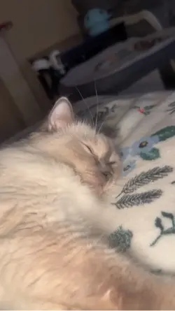 Zena is not feeling 