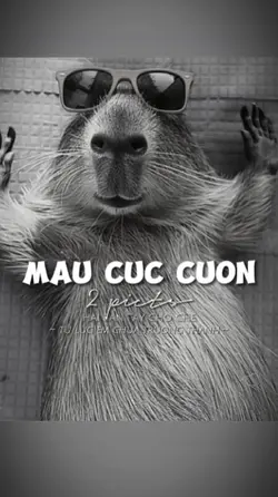 BEAT 2 ẢNH CỰC CUỐN 