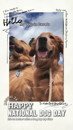 Happy Dog Day 2025