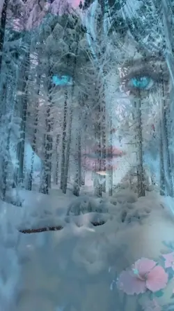 WINTER WONDERLAND 