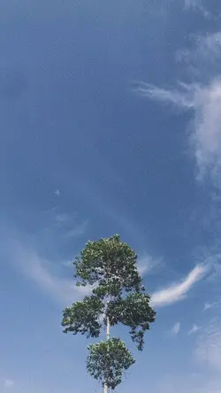versi butiran