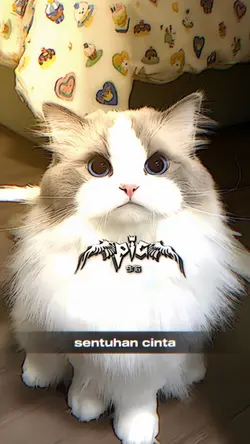 #SentuhanCinta