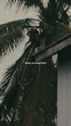 ituloy mo lang...