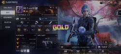 CODM profile flex