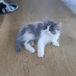 색칠