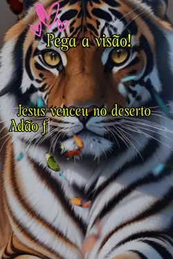 pega a visão 